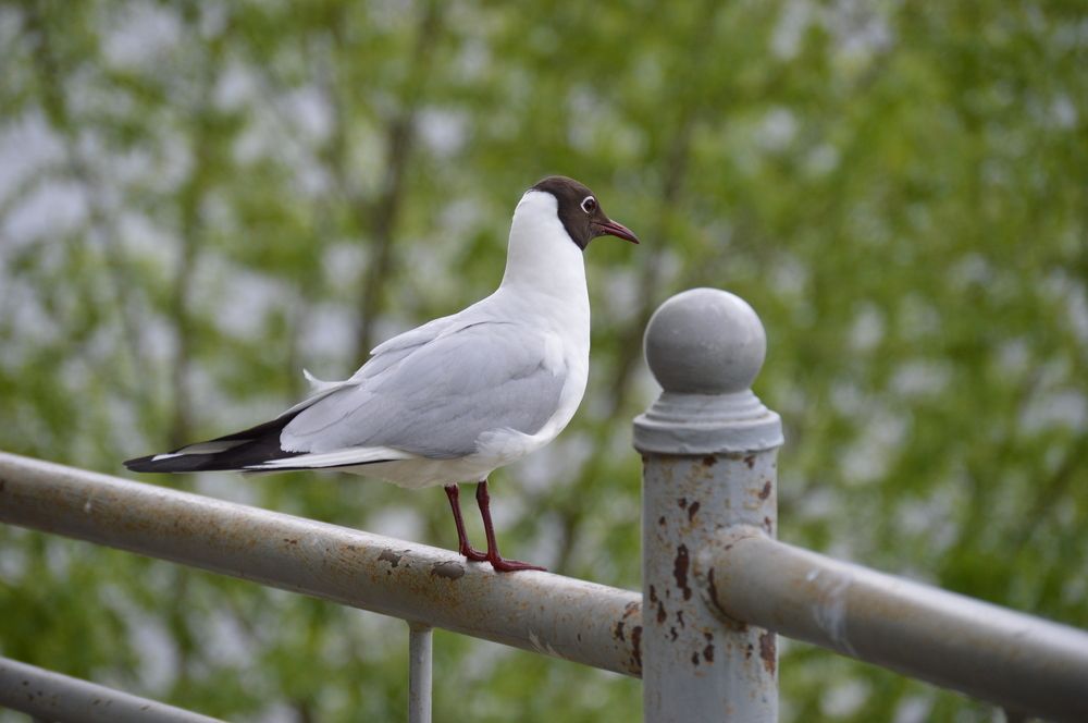 Photograph by Анна Кендик