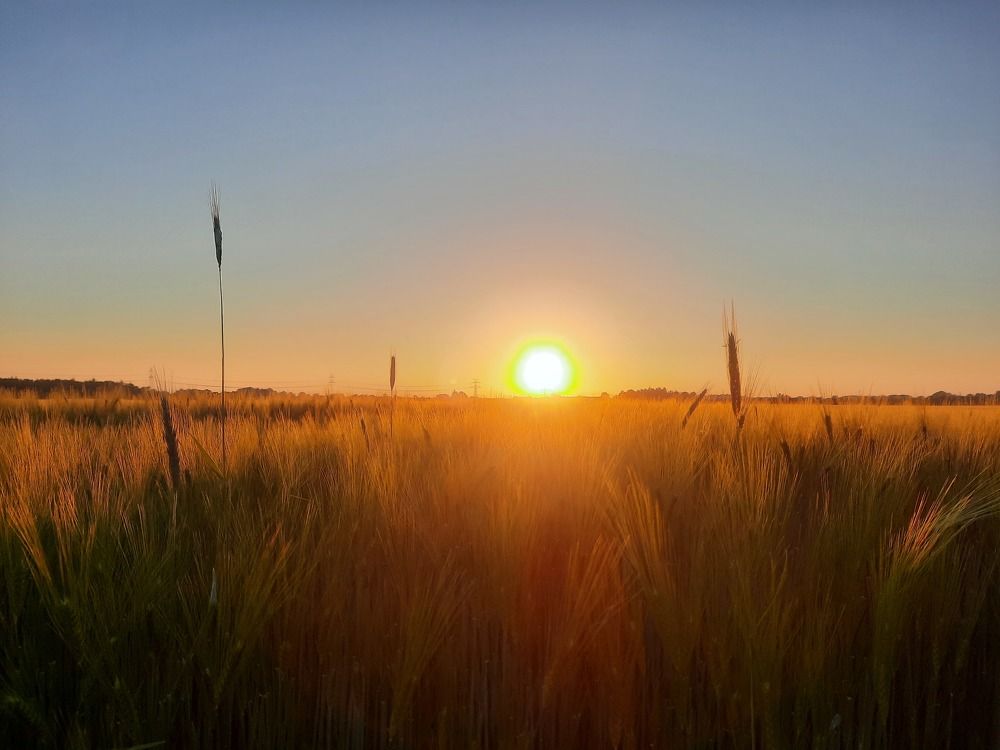 Photograph by Alexandra Fahn