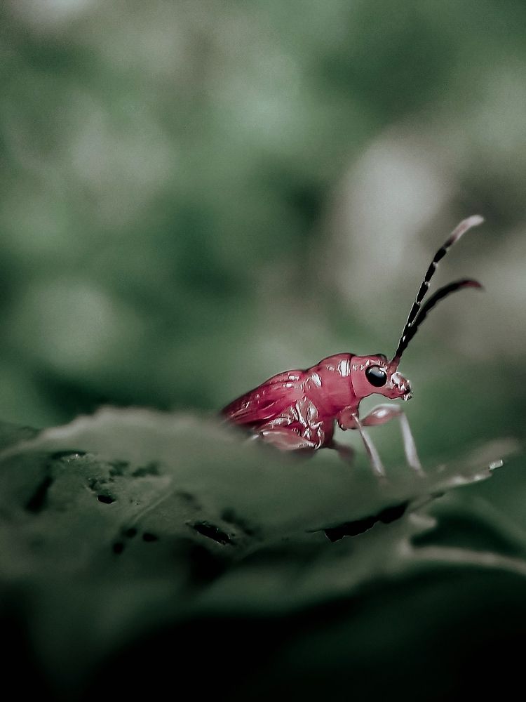 Photograph by mufi pk