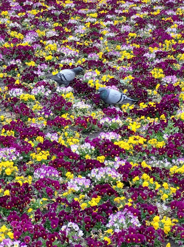 Photograph by Елена Тимченко