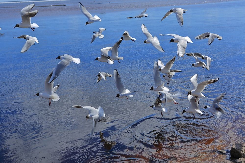 Фотография автора Inna Evseeva