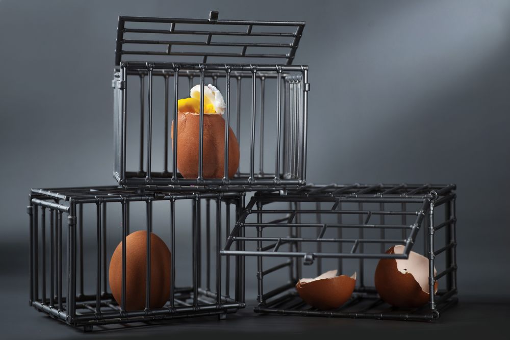 The Escape (Побег)