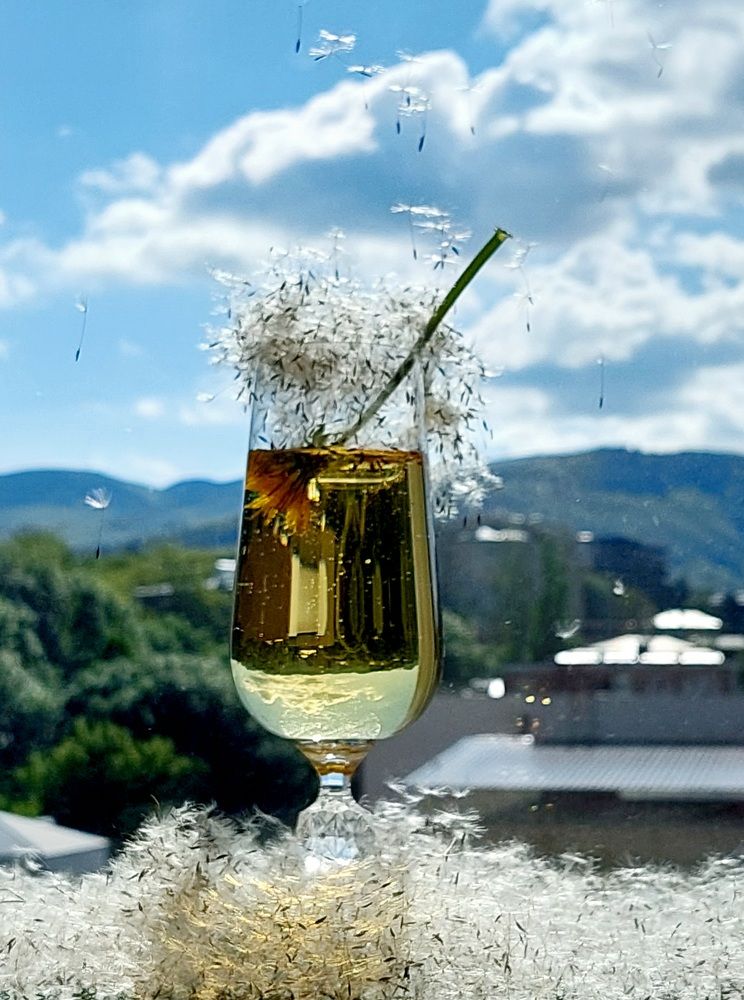 Photograph by Елена Тимченко