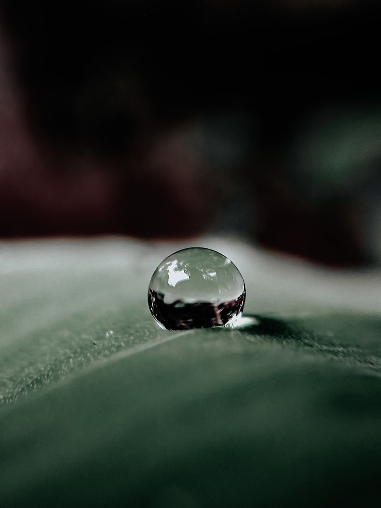 Photograph by mufi pk
