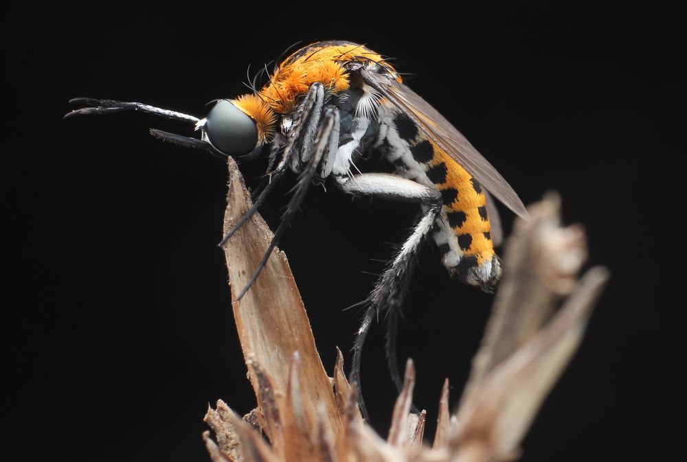 Photograph by Mark Kineth Casindac