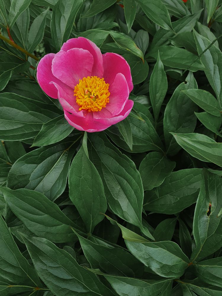 Photograph by Игорь