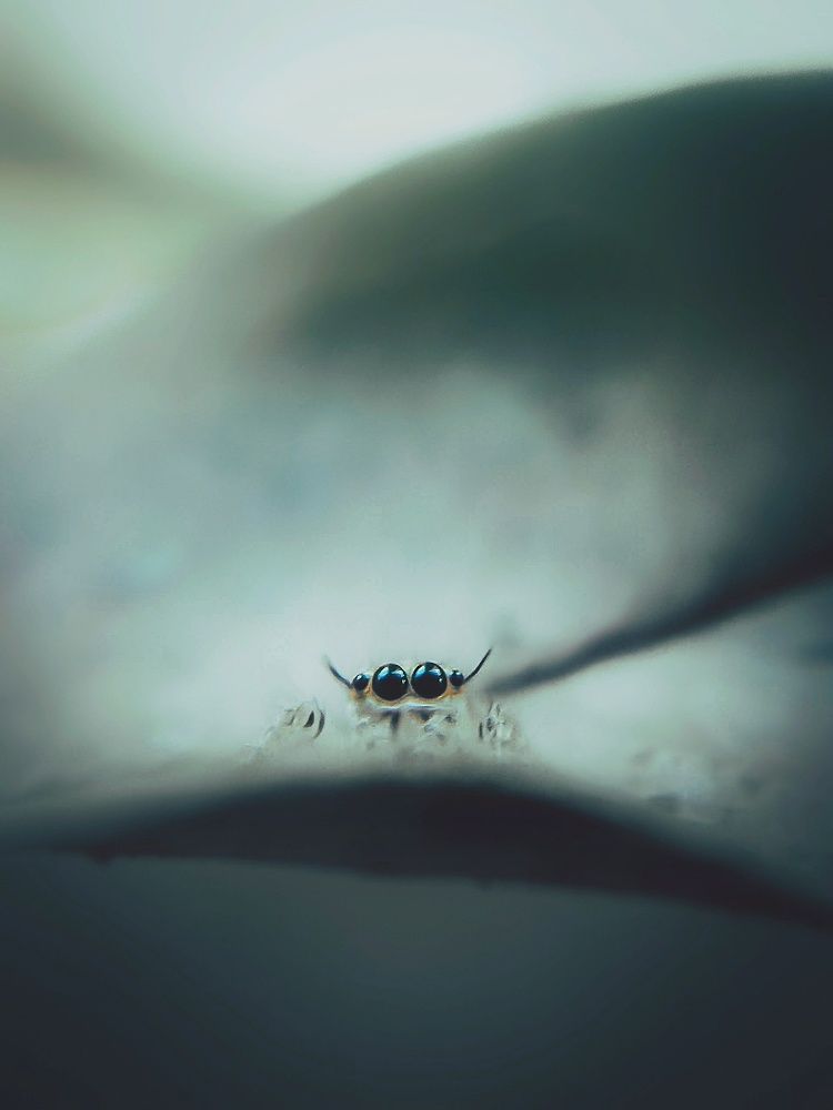 Photograph by mufi pk