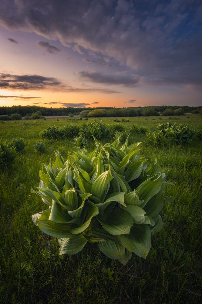 Photograph by Николай Брытков