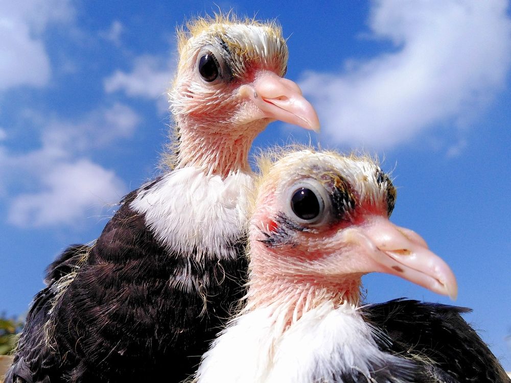 Photograph by Marziyeh Nasiri