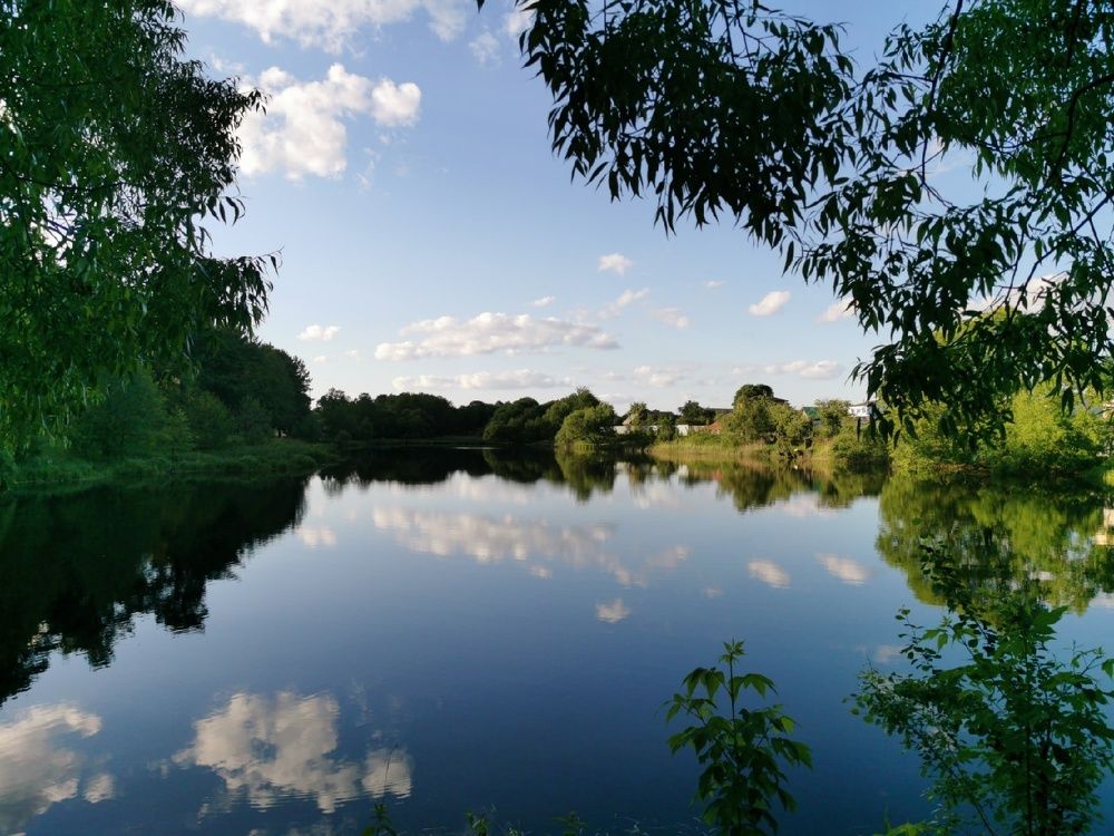 Photograph by Елена Миронова