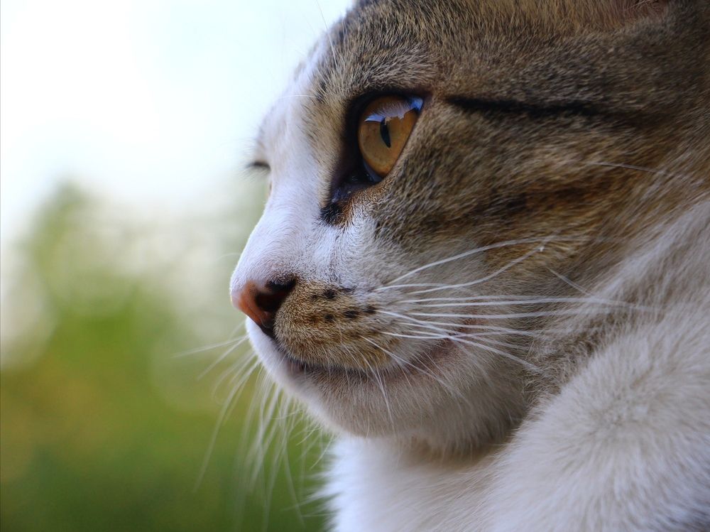 Photograph by Marziyeh Nasiri