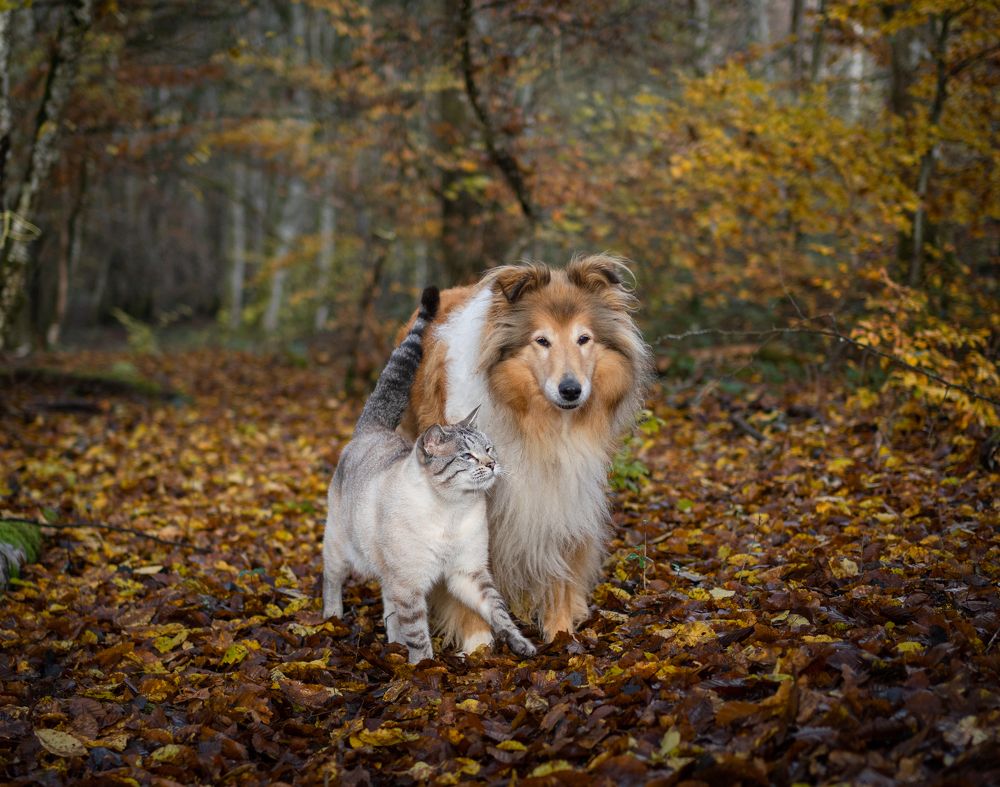 Photograph by LYUDMYLA POKRYSHEN