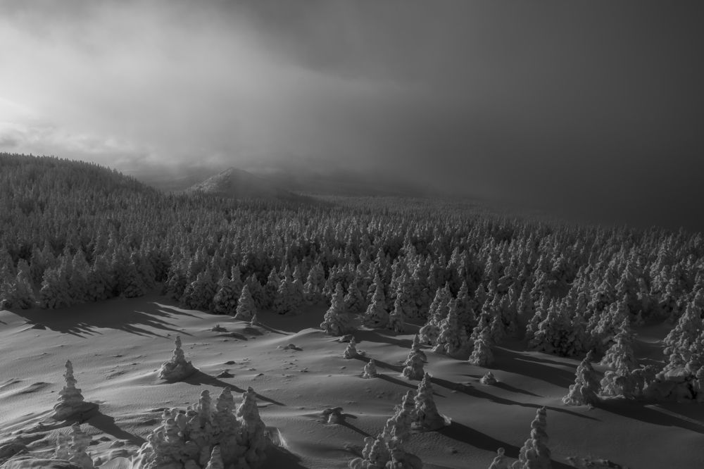 Photograph by Андрей Шарапов