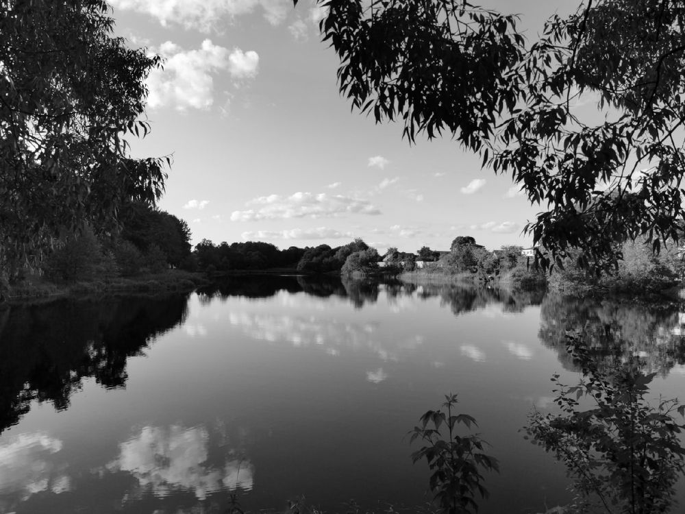 Photograph by Елена Миронова