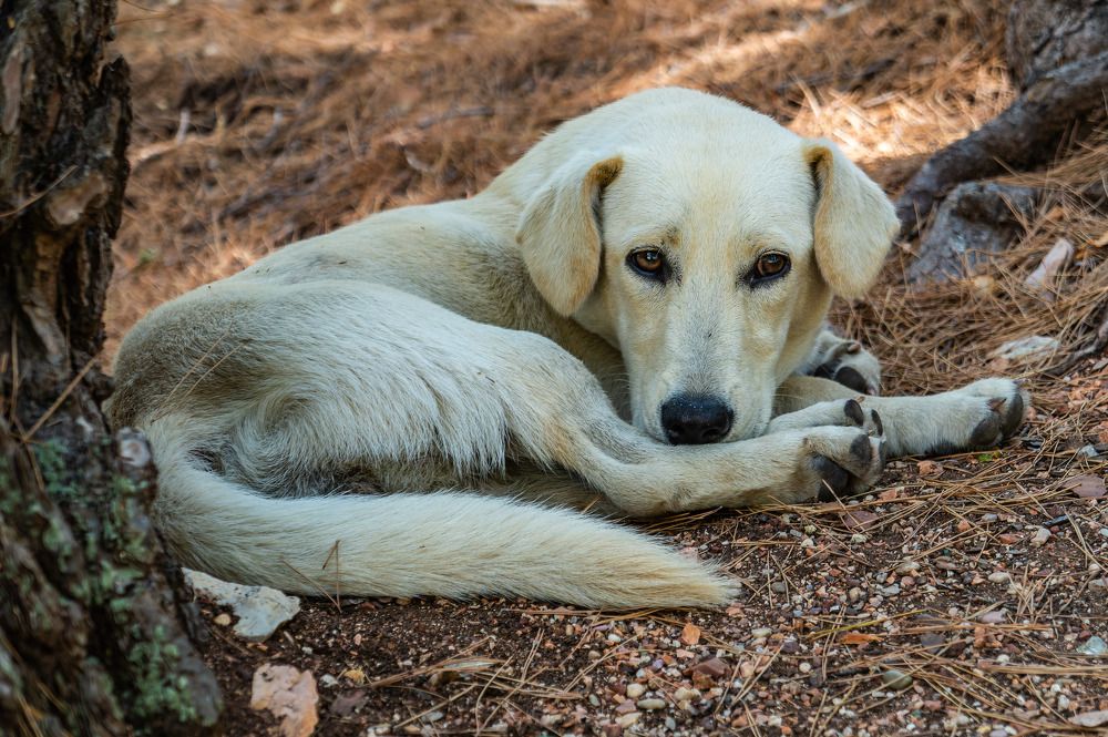 Photograph by Олег Ершов