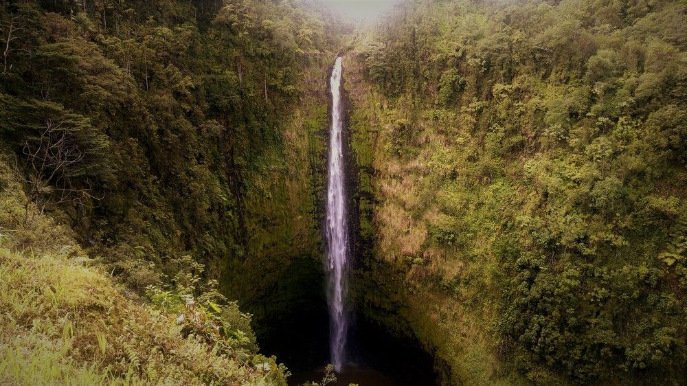 Photograph by Nirmalya Chakraborty