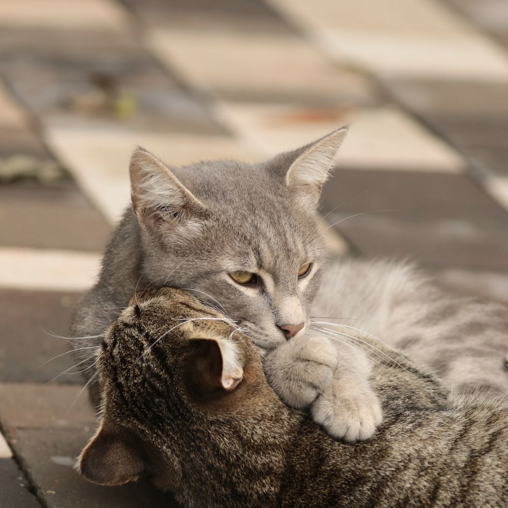 Photograph by Артемий