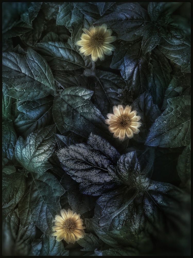 Photograph by Polina Svirida