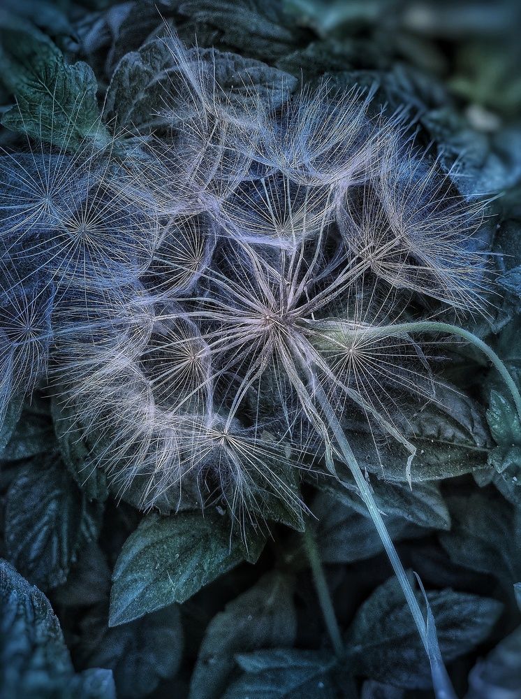 Photograph by Polina Svirida