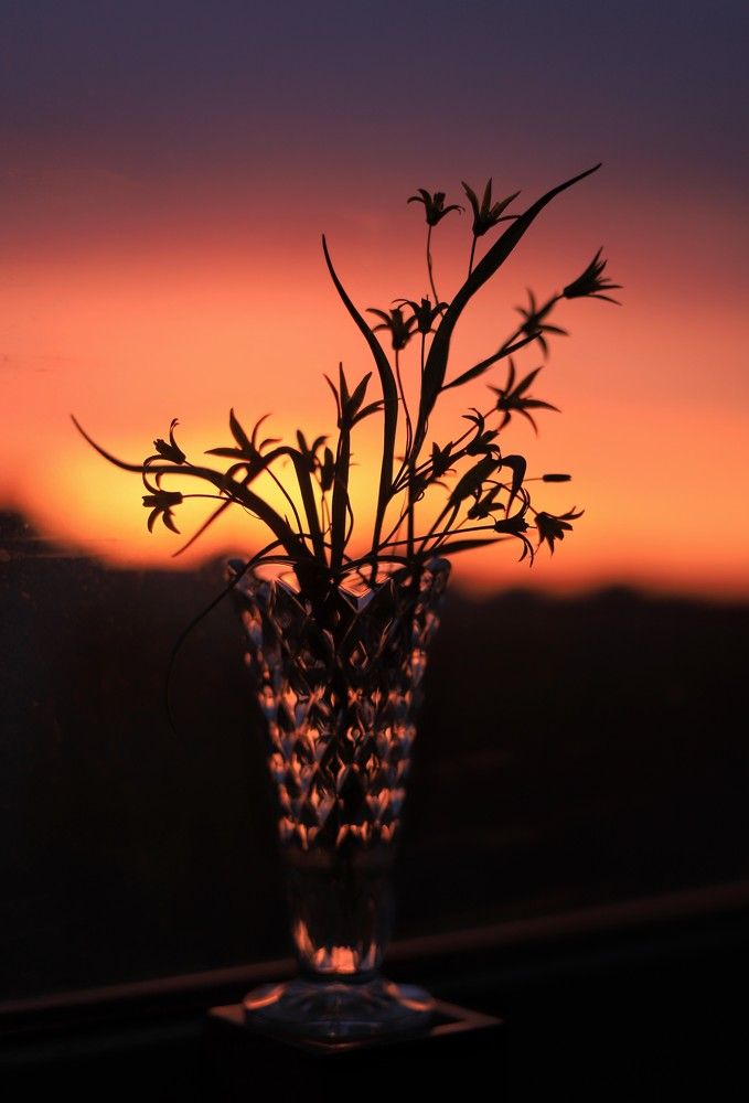 Photograph by Ася Радченко