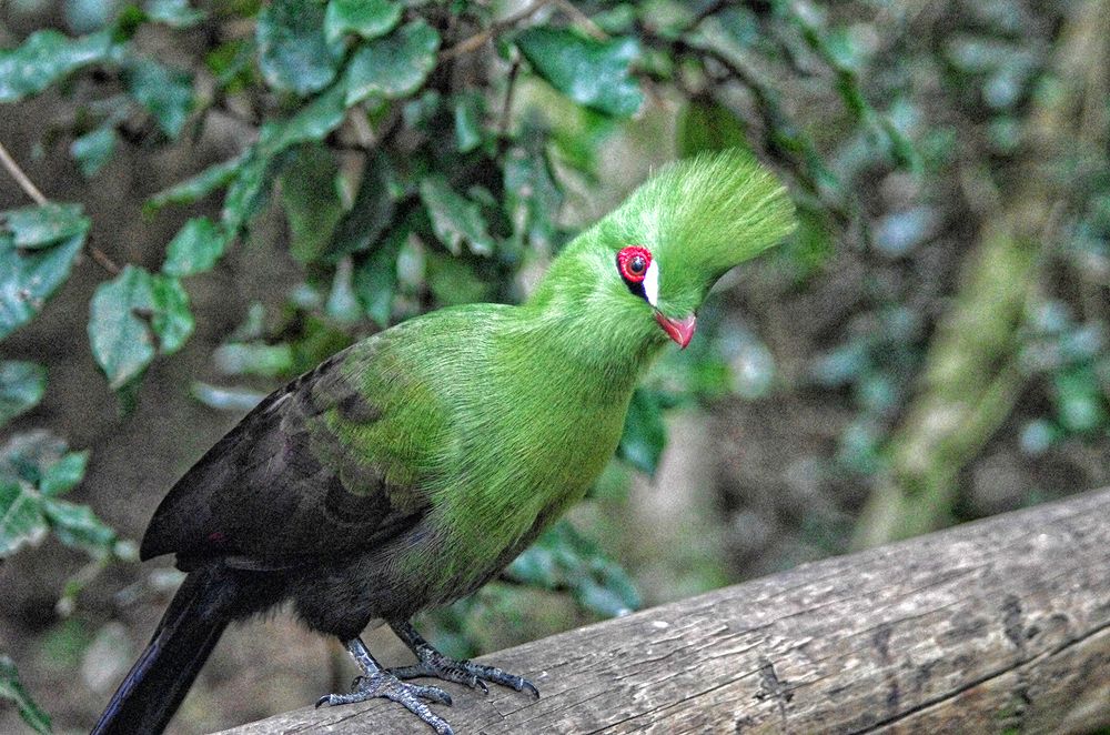 Photograph by Лев Левинсон