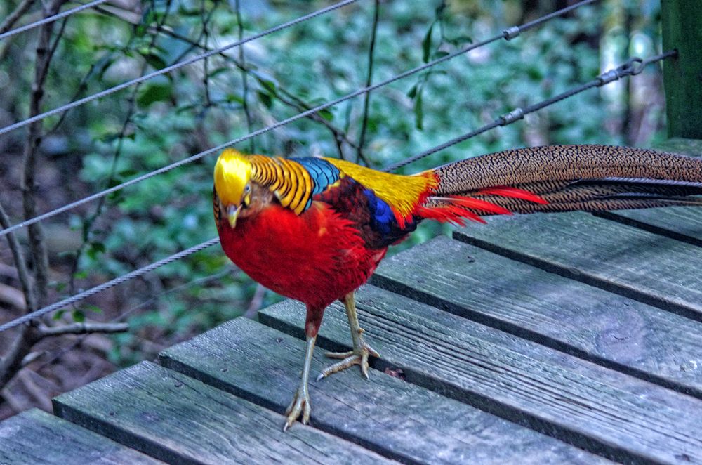 Photograph by Лев Левинсон