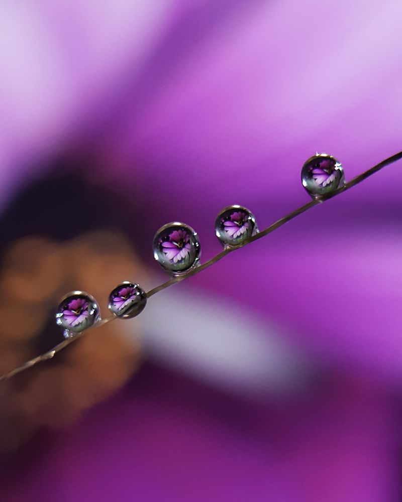 Photograph by Анна Чичилова