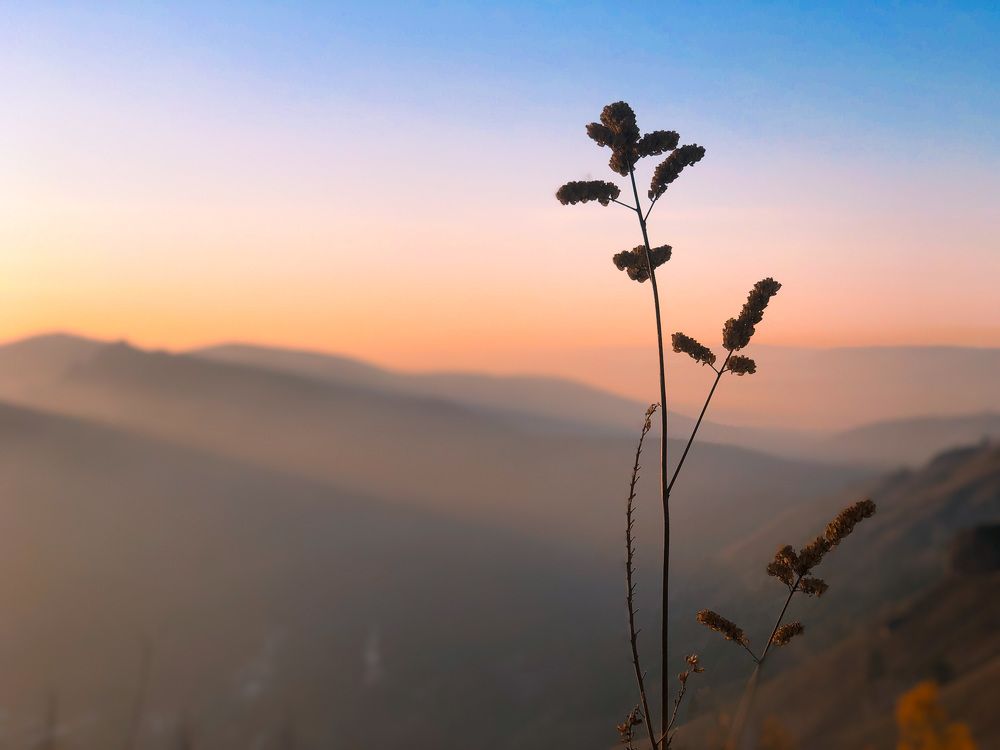 Photograph by Павел Петухов