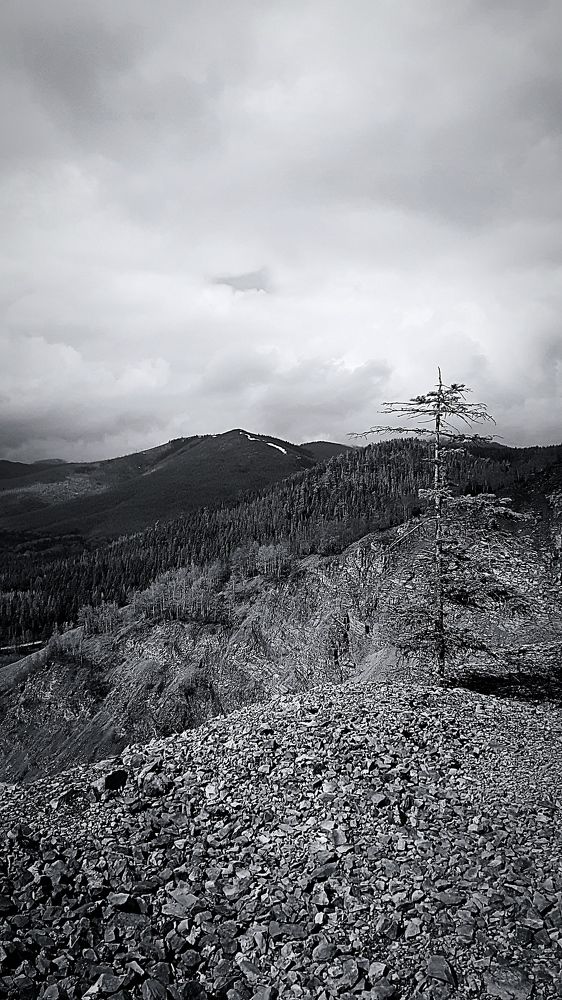 Photograph by Елена Ласун