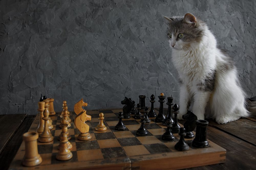 Photograph by Игорь Смирнов