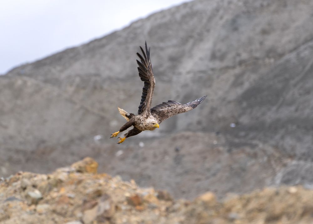 Photograph by Юрий Харченко