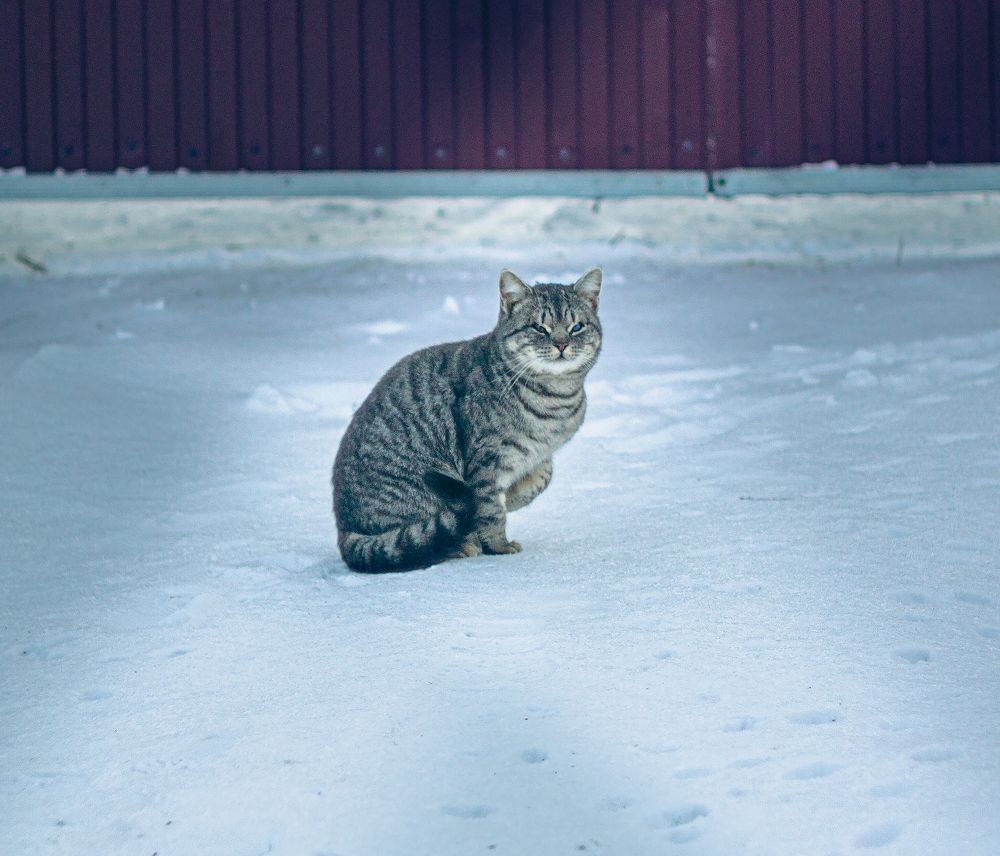 Photograph by Александр Жариков