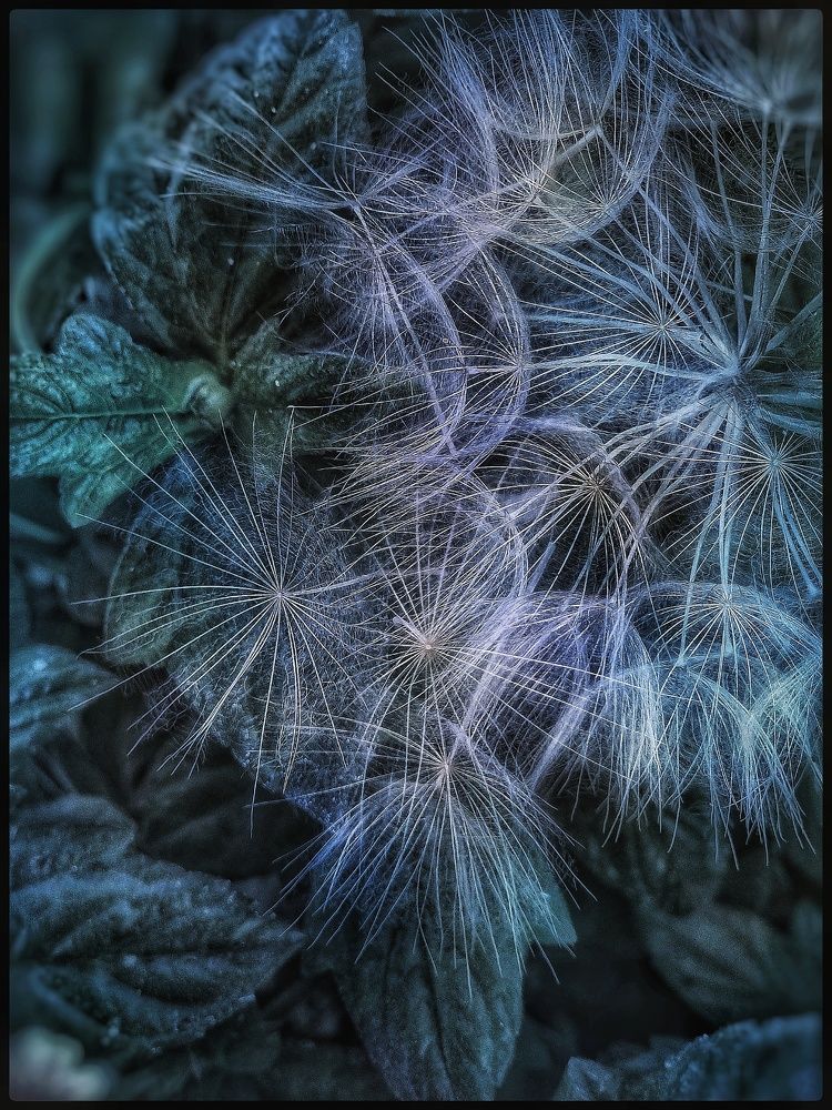 Photograph by Polina Svirida