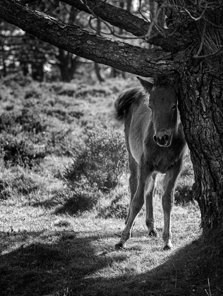 Photograph by Miguel Iglesias