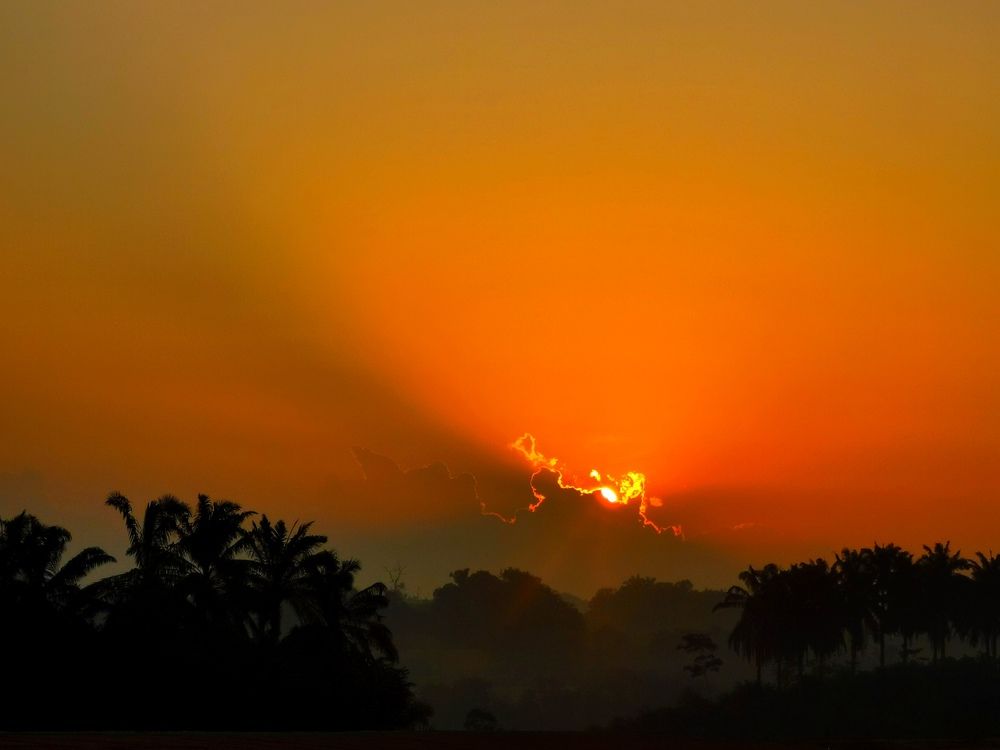 Photograph by Chunhou Poon