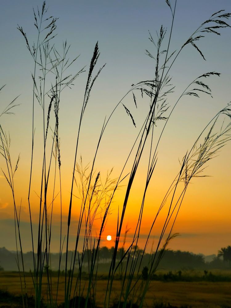 Photograph by Chunhou Poon