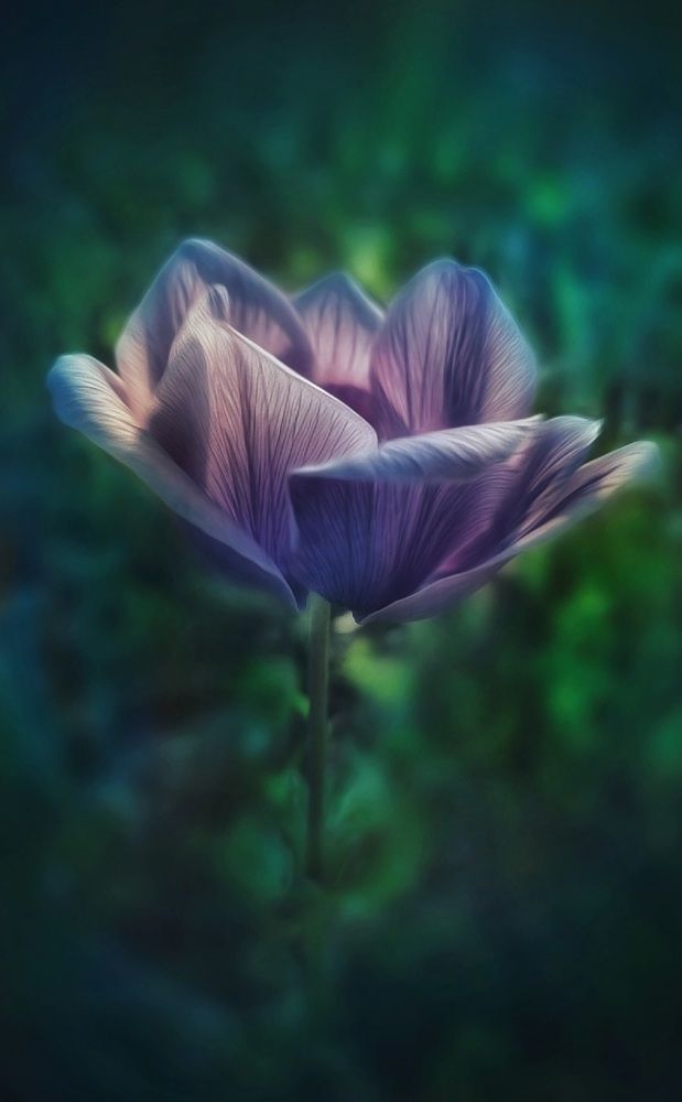 Photograph by Polina Svirida