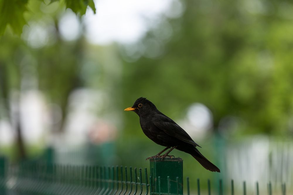 Photograph by Илья Юфа