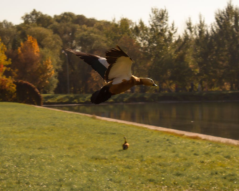 Photograph by Валентина Тагильцева