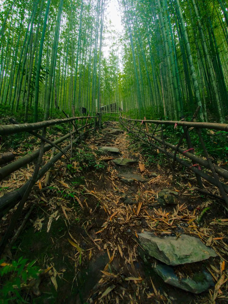 Photograph by Chris Duy