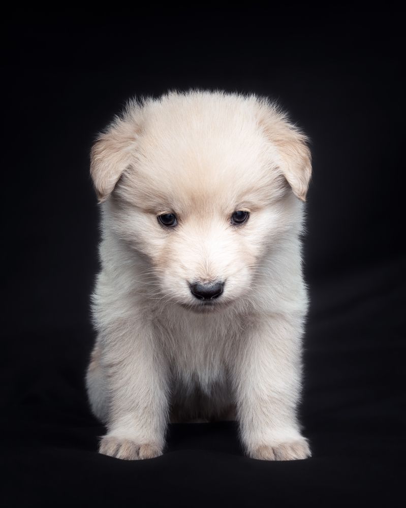 Фотография автора Dmitrijs Cernagovs