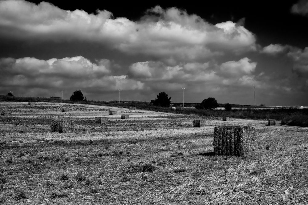 Photograph by Mike Sappojnikoff