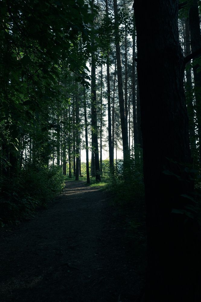 Photograph by Sergey Kashnikov