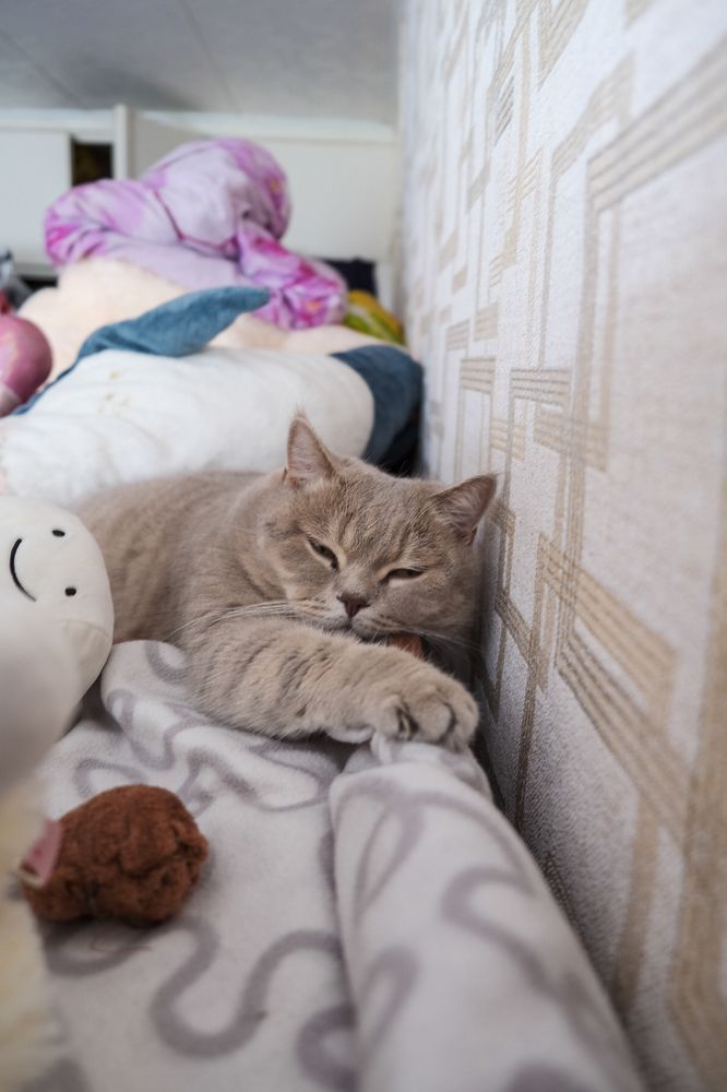 Photograph by Sergey Kashnikov