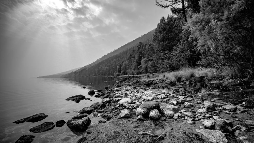 Фотография автора Андрей Васильев