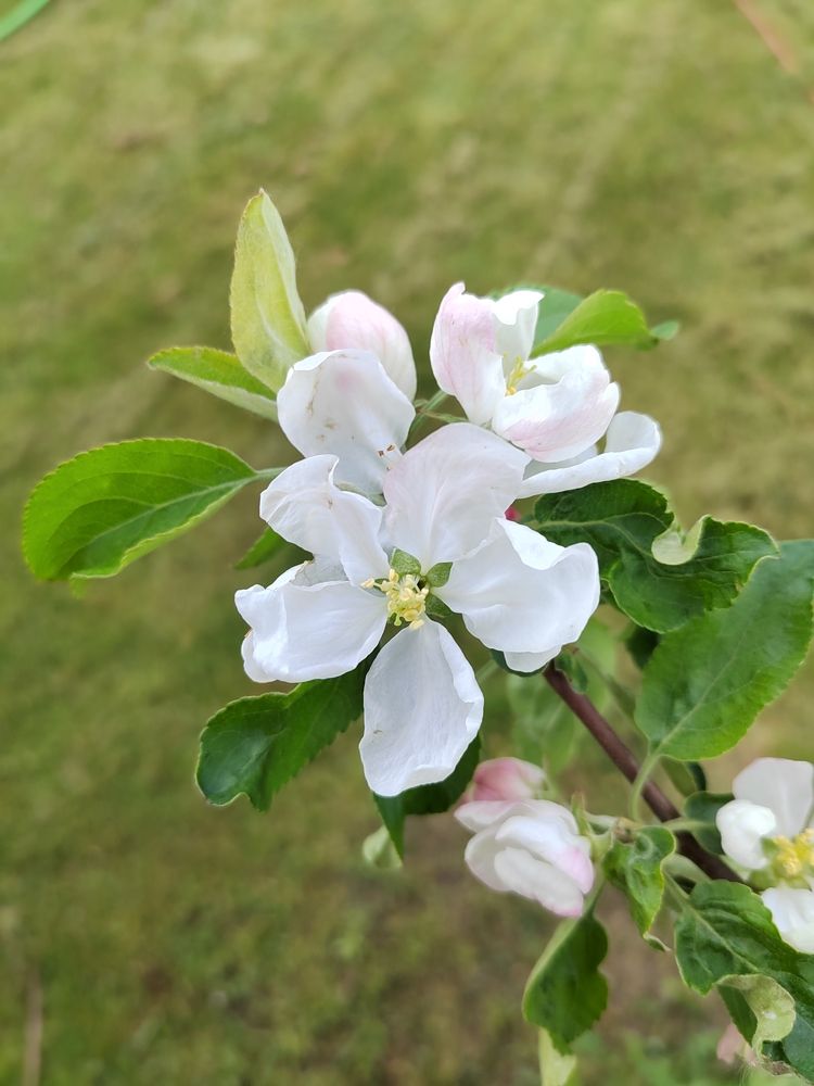 Photograph by Екатерина Слепнева