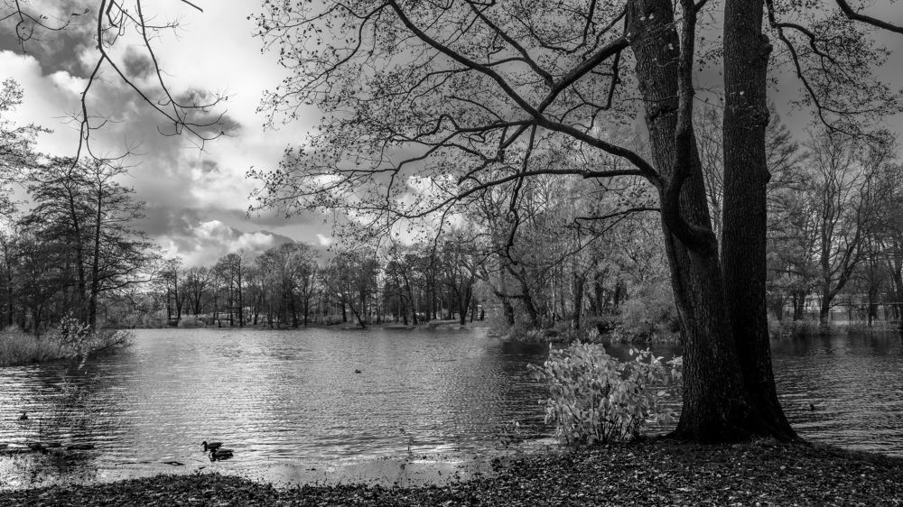 Фотография автора Андрей Васильев