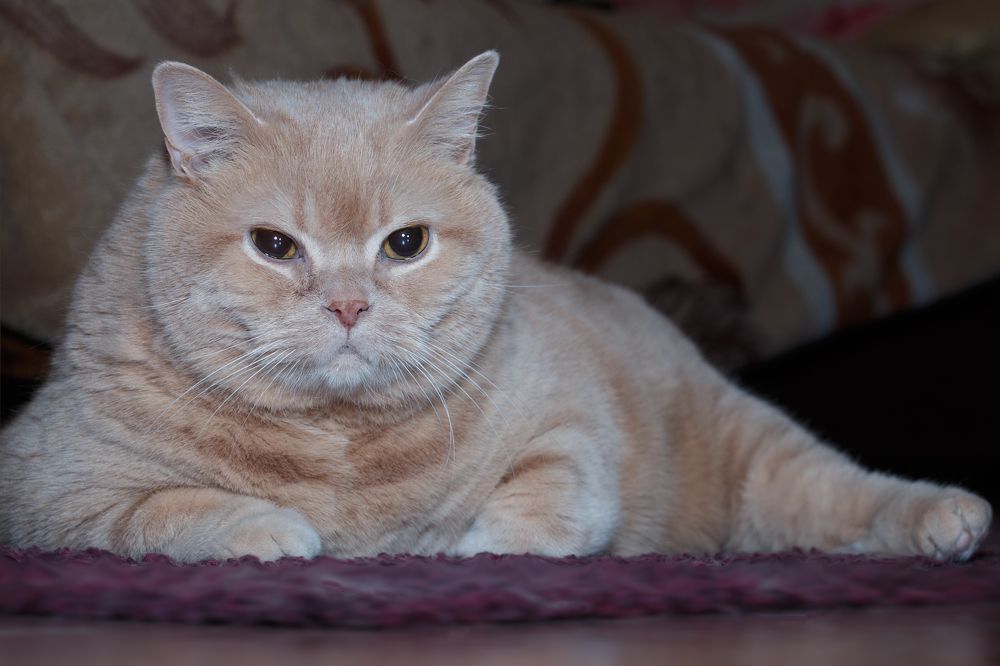 Photograph by Алексей Николаев