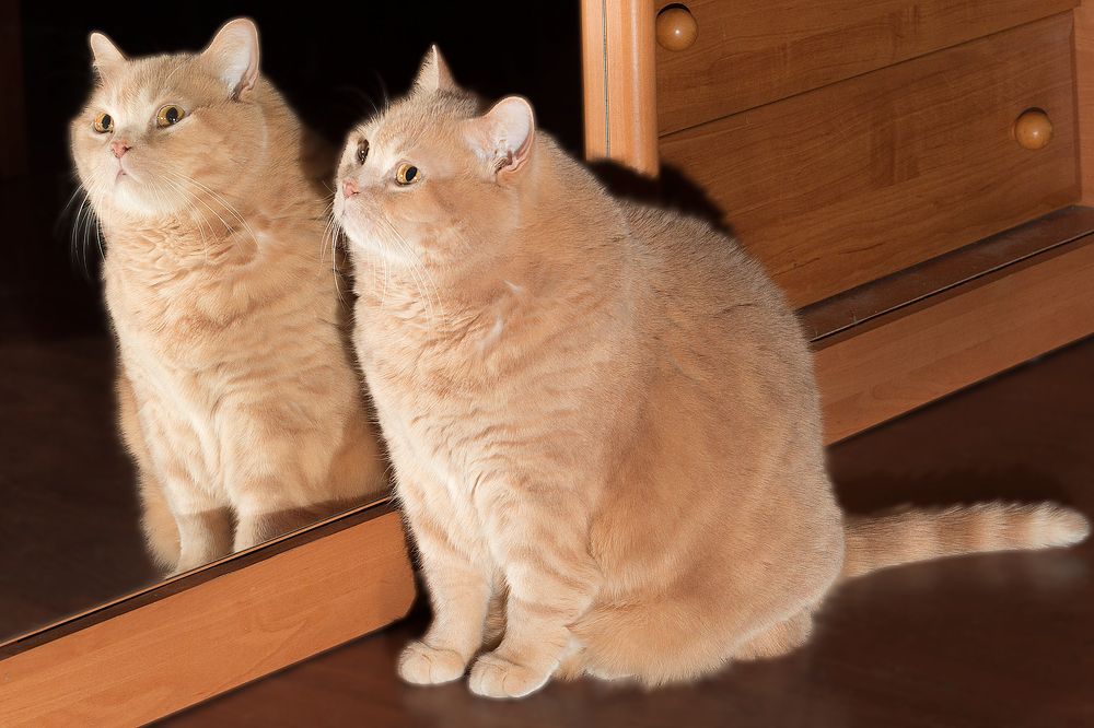 Photograph by Алексей Николаев