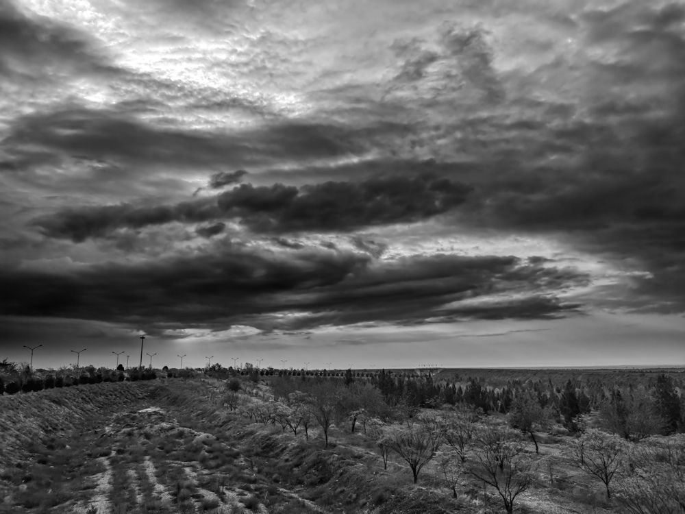 Фотография автора Mohamad reza Mohamad abadi